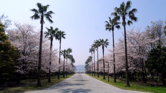 潮風公園