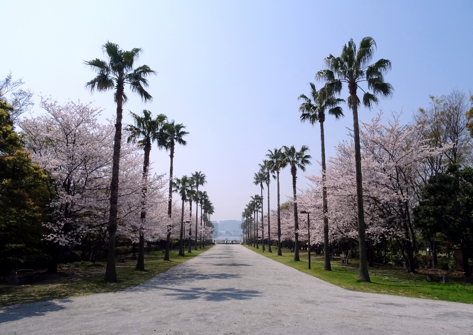 潮風公園