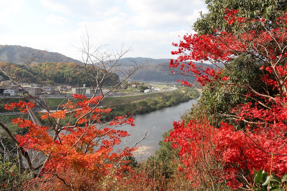 江の川