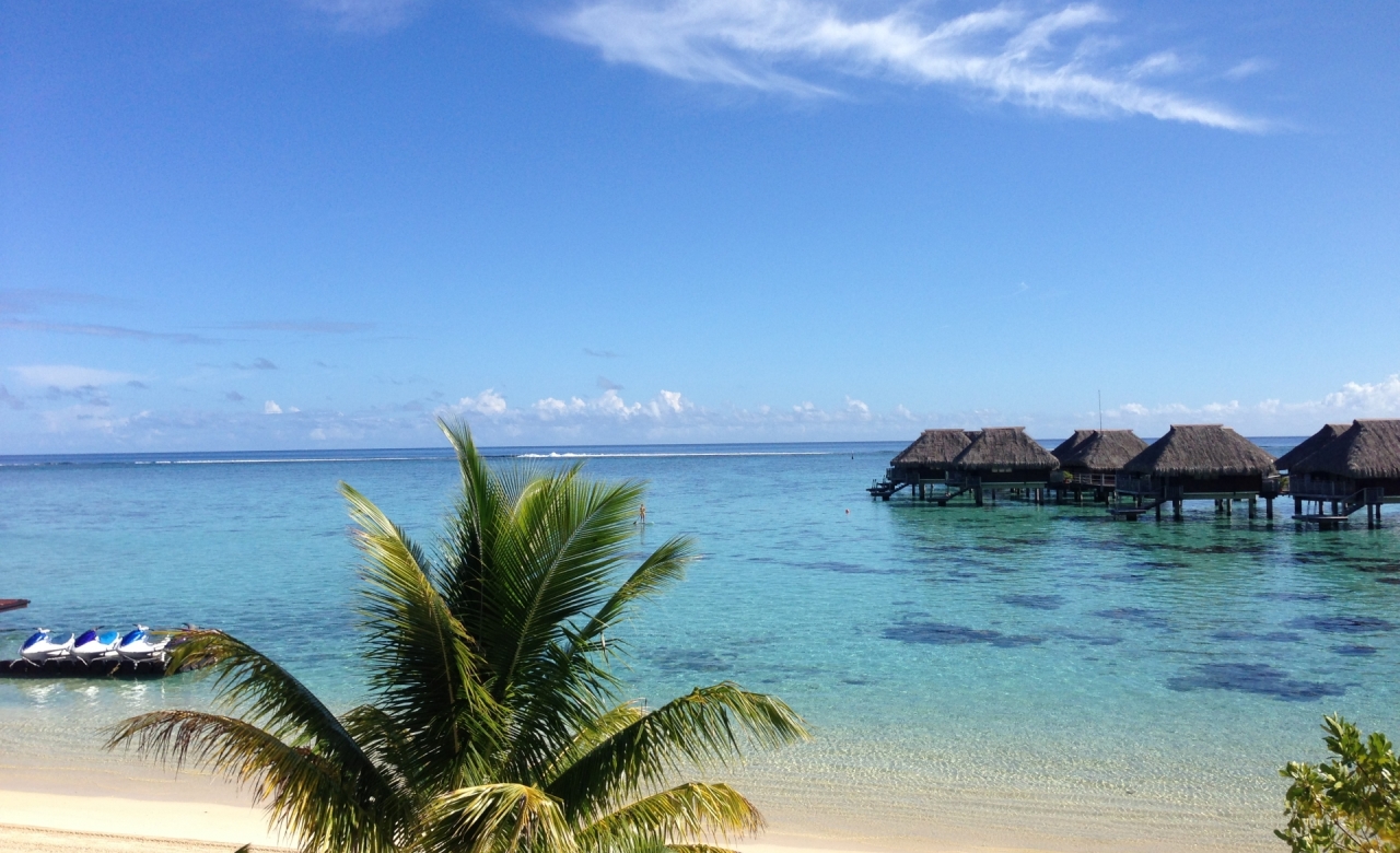 パリオリンピック 水泳 ボート 試合会場