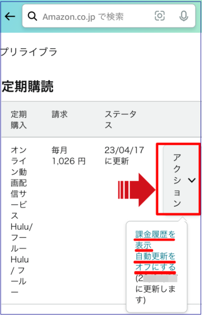 Amazonアプリ内決済6